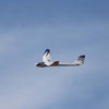 E-Flite Night Radian 2.0m RC Glider (BNF Basic) EFL36500