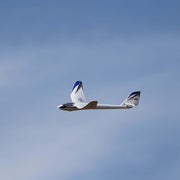 E-Flite Night Radian 2.0m RC Glider Plug-n-Play EFL36750