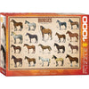 Eurographics 60078 Horses Jigsaw Puzzle 1000pc