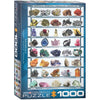 Eurographics 62008 Minerals 1000pc Jigsaw Puzzle