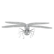 Metal Earth FCMM-DF Dragon Fly