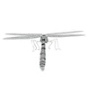 Metal Earth FCMM-DF Dragon Fly