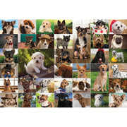 Funbox 102410 Dogs Dogs Dogs 1000pc Jigsaw Puzzle