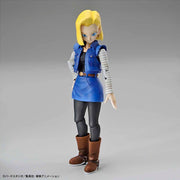 Bandai 50582001 Figure-rise Standard Android 18 Pkg Renewal Dragon Ball Z