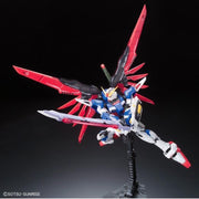 Bandai 5061616 RG 1/144 Destiny Gundam Seed Destiny