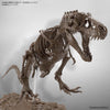 Bandai G5061800 Imaginary Skeleton 1/32 Tyrannosaurus