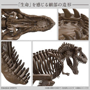Bandai G5061800 1/32 Imaginary Skeleton Tyrannosaurus Dinosaur
