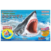 Bandai 5063392 Exploring Lab Nature Great White Shark