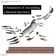 Bandai 5065428 1/32 Imaginary Skeleton Mosasaurus Dinosaur