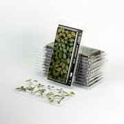 Gamers Grass GGLP-EE Laser Plants Elephant Ear