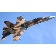 Hasegawa 1/72 CF-18A Hornet Battle of Britain 75th Annivsary