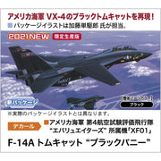 Hasegawa 02377 1/72 Tomcat F-14A Black Bunny