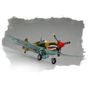Hobby Boss 80250 1/72 P-40E Kitty Hawk