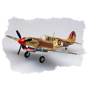 Hobby Boss 80251 1/72 P-40M Warhawk