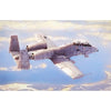 Hobby Boss 80324 1/48 N/AW A-10 Thunderbolt