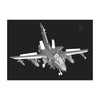 Hobby Boss 80354 1/48 Tornado ECR