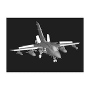Hobby Boss 80355 1/48 Tornado ADV