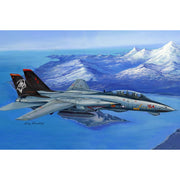 Hobby Boss 80368 1/48 F-14D Super Tom Cat