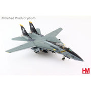 Hobby Master HA5239 1/72 Grumman F-14B Tomcat 163217 VF-103 NAS Oceana June 2005