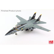 Hobby Master HA5239 1/72 Grumman F-14B Tomcat 163217 VF-103 NAS Oceana June 2005
