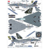 Hobby Master 5243 1/72 Grumman F14B Tomcat US Navy, OEF 163220, VF-143 Pukin Dogs, 2002