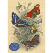 HarperCollins John Derian Paper Goods Dancing Butterflies 750pc Jigsaw Puzzle
