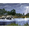 Heye 29508 Herd of Elephants 2000pc Jigsaw Puzzle