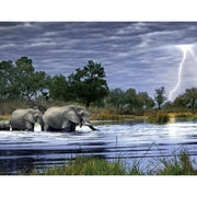 Heye 29508 Herd of Elephants 2000pc Jigsaw Puzzle