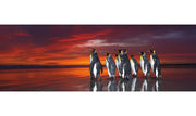 Heye 29858 Panorama King Penguins 1000pc Jigsaw Puzzle