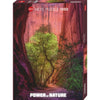 Heye 29944 Power of Nature Siniging Canyon 1000pc Jigsaw Puzzle