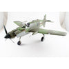 Hong Kong Models 01E07 1/32 Dornier Do-335 B-2 Zerstörer