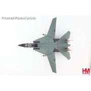 Hobby Master HA5237 1/72 Grumman F-14D Tomcat NE100/163894 VF-2 Bounty Hunters USS Constellation 2003