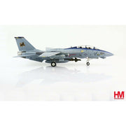 Hobby Master HA5238 Grumman F-14D Tomcat No 164347 VF-213 Black Lions 2006 Final Cruise