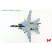 Hobby Master HA5238 Grumman F-14D Tomcat No 164347 VF-213 Black Lions 2006 Final Cruise