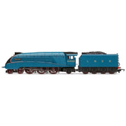 Hornby RailRoad LNER 4-6-2 Mallard A4 Class HOR-R3371 5010963433710
