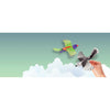 IS 15240 Aus Collection Soaring Bird Gliders Assorted