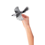 IS 15240 Aus Collection Soaring Bird Gliders Assorted