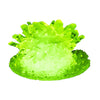 IS 70200 Crystal Growing Kit Glow in the Dark