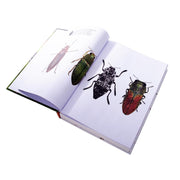 IS 71202 Puzzle Book Insects