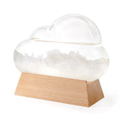 IS 88061 Cloud Weather Station 
