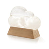 IS 88061 Cloud Weather Station