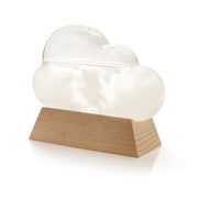 IS 88061 Cloud Weather Station