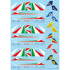 Italeri 1461S 1/72 Macchi MB 339 (3 Kits Included) P.A.N. 60th Anniversary Special Livery