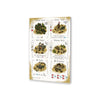 Imperial Settlers Roll and Write