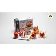 Johnco FS635 George The Gyroscope 6in1 STEM Kit