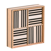 Kapla Black and White Case