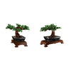 LEGO 10281 Creator Expert Bonsai Tree