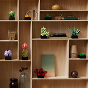 LEGO 10309 Creator Expert Succulents