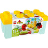 LEGO 10984 Duplo Organic Garden