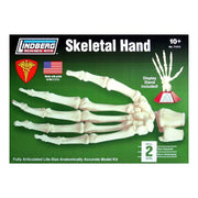 Lindberg 71313 Skeletal Hand- Life Size